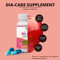 dia-care-supplement